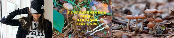 хмурый Богородск