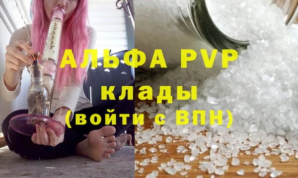 мяу мяу мука Богданович