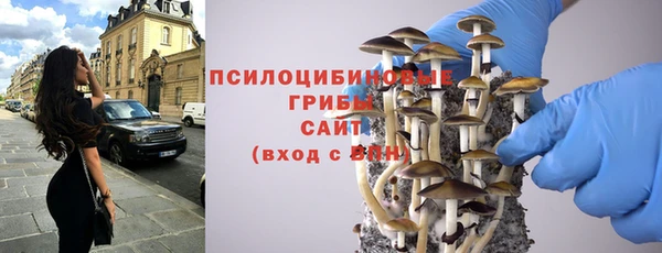 мяу мяу мука Богданович